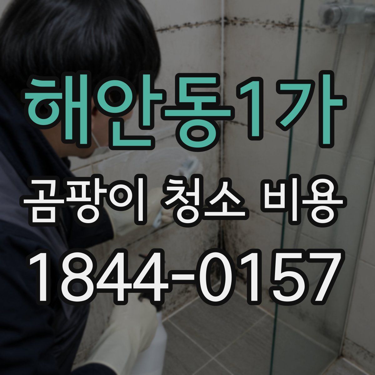 해안동1가 곰팡이 청소 비용