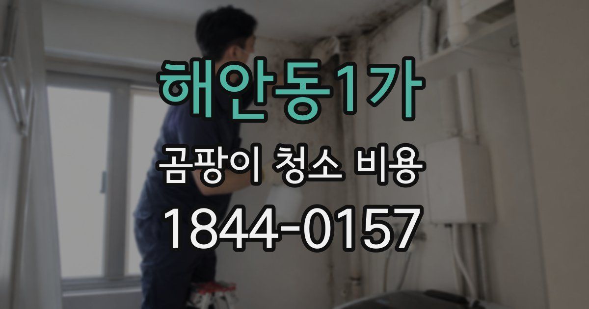 해안동1가 곰팡이 청소 비용