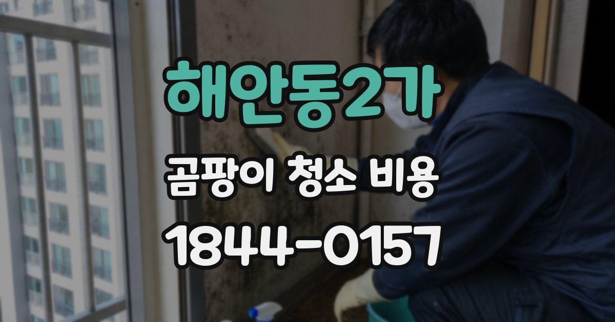 해안동2가 곰팡이 청소 비용