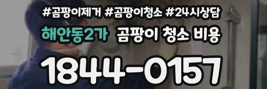 해안동2가 곰팡이 청소 비용