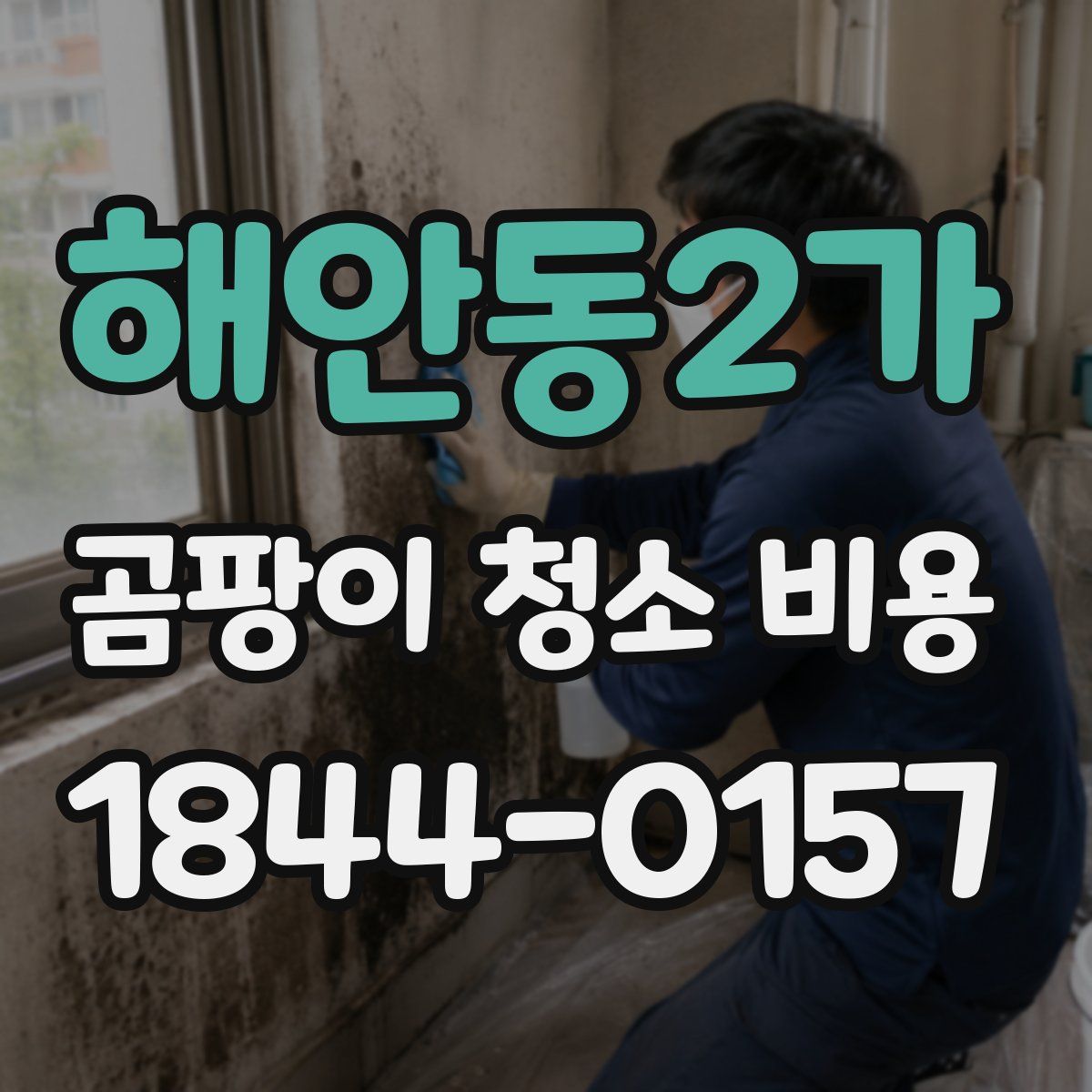 해안동2가 곰팡이 청소 비용