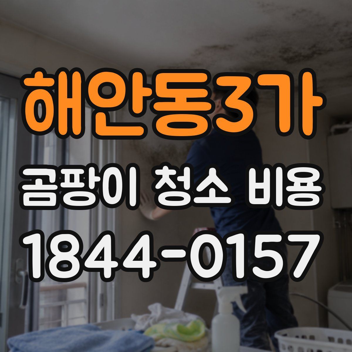 해안동3가 곰팡이 청소 비용
