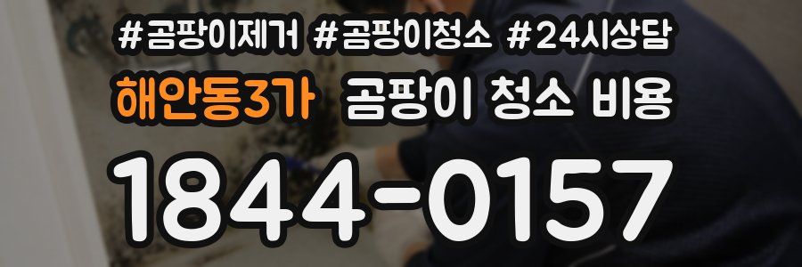 해안동3가 곰팡이 청소 비용
