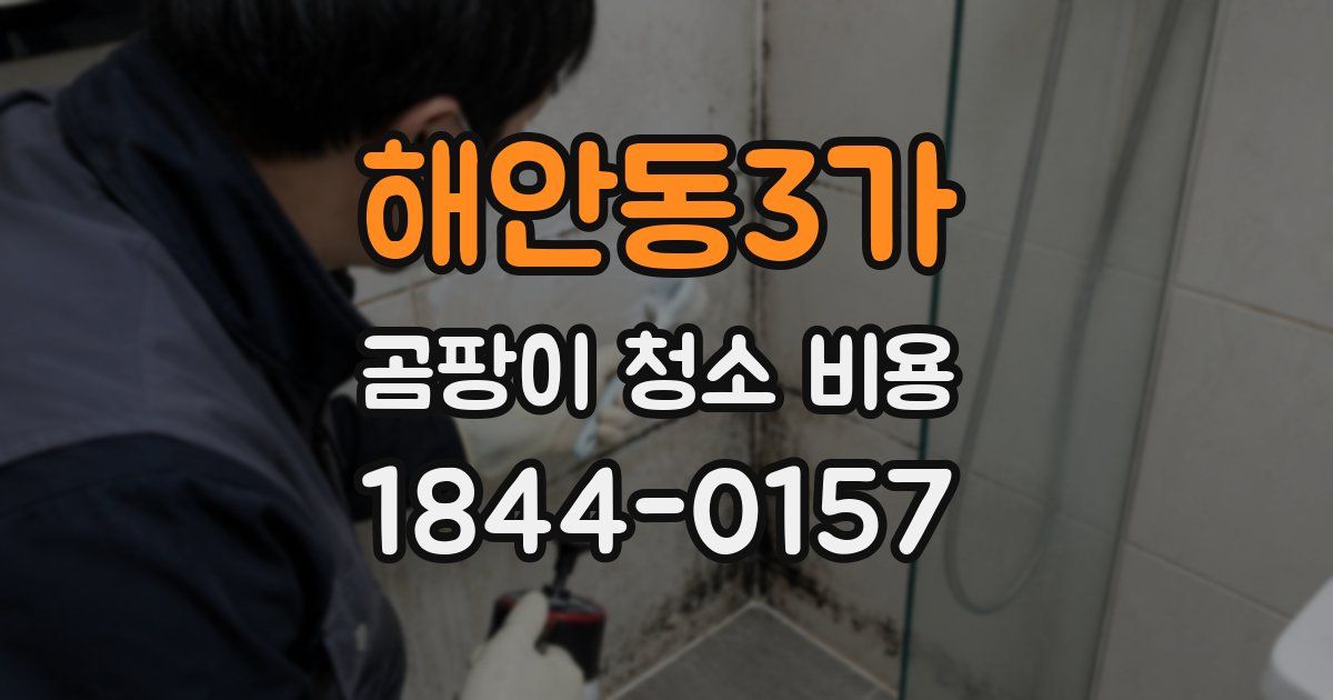 해안동3가 곰팡이 청소 비용