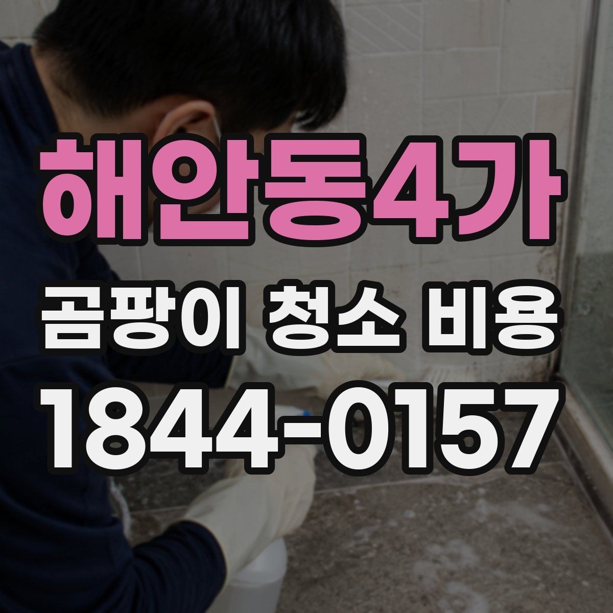 해안동4가 곰팡이 청소 비용 인건비 산정 기준이 궁금한 현장 체크