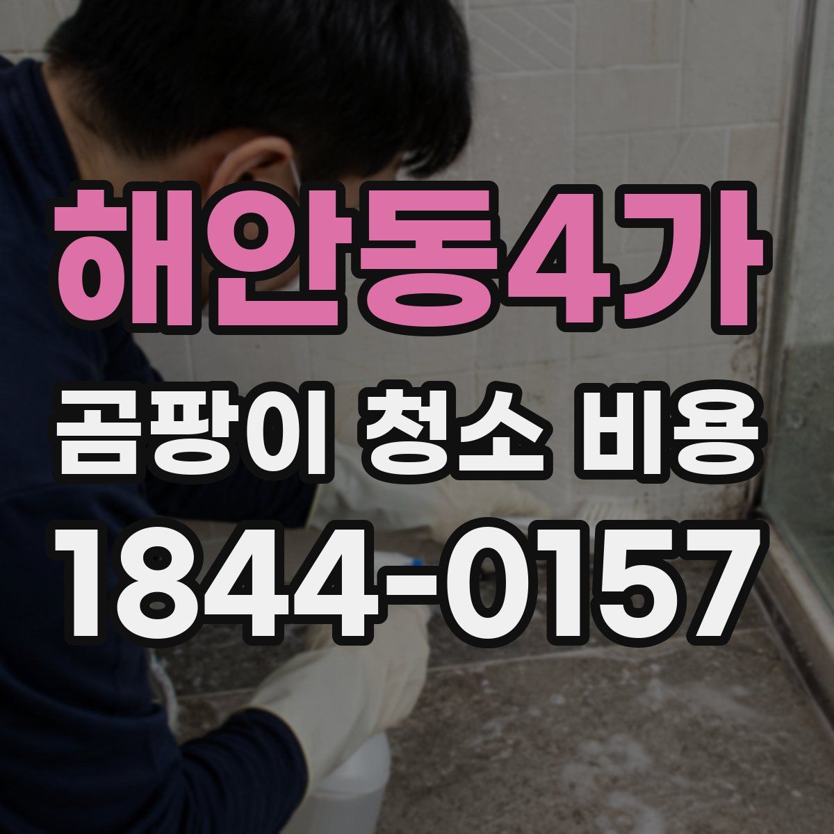 해안동4가 곰팡이 청소 비용