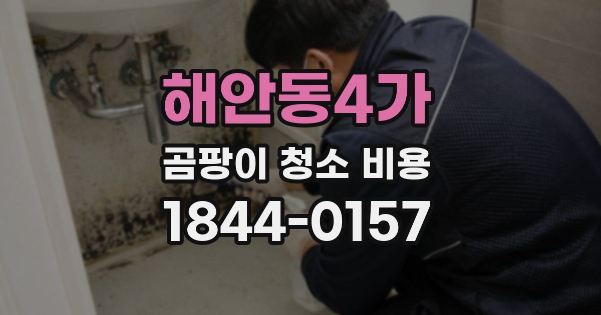 해안동4가 곰팡이 청소 비용