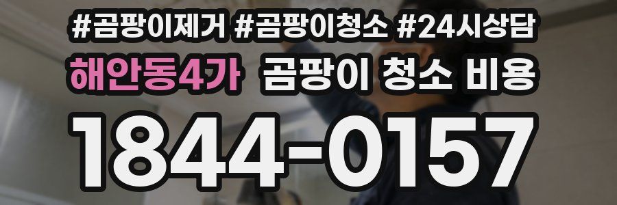 해안동4가 곰팡이 청소 비용