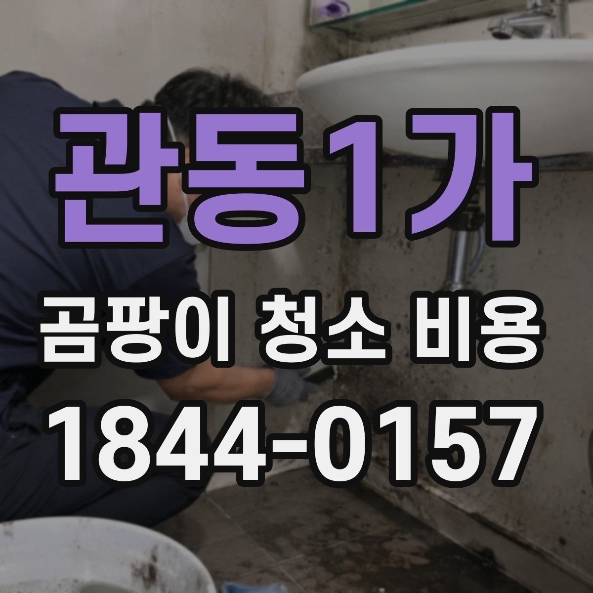 관동1가 곰팡이 청소 비용 곰팡이 범위가 넓을 때 우선 확인할 점