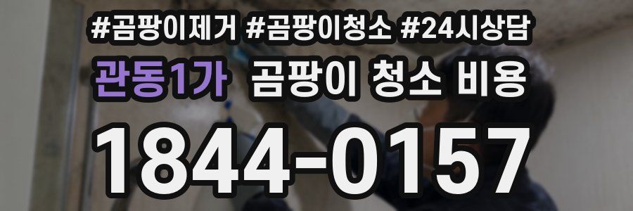 관동1가 곰팡이 청소 비용