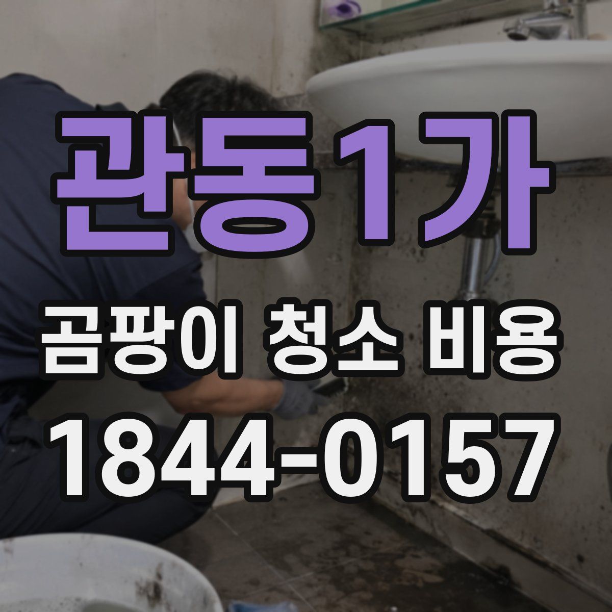 관동1가 곰팡이 청소 비용