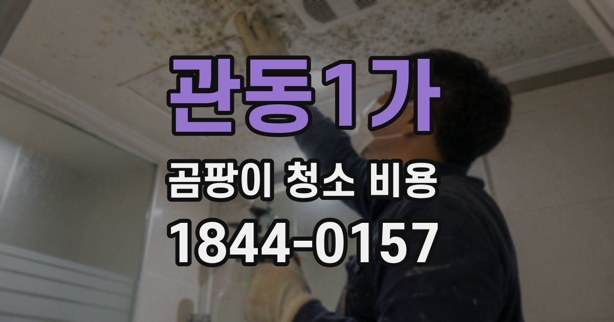 관동1가 곰팡이 청소 비용