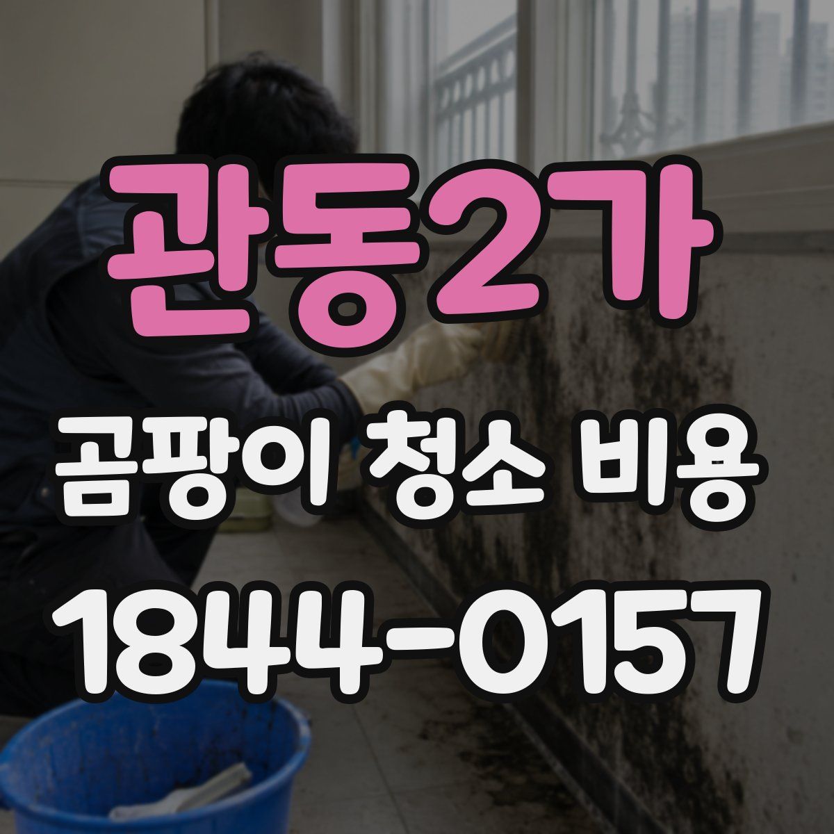 관동2가 곰팡이 청소 비용