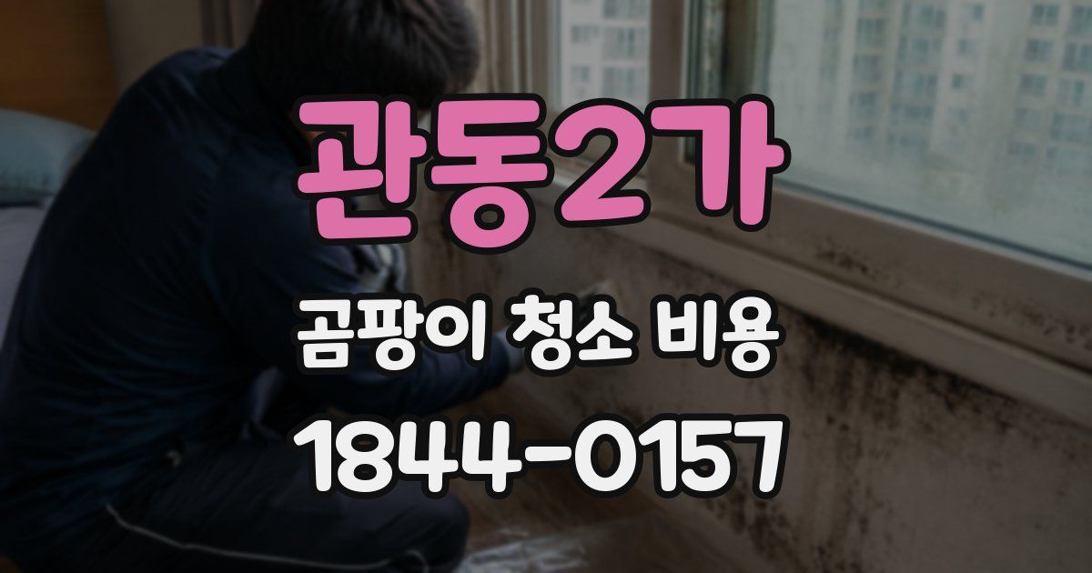 관동2가 곰팡이 청소 비용