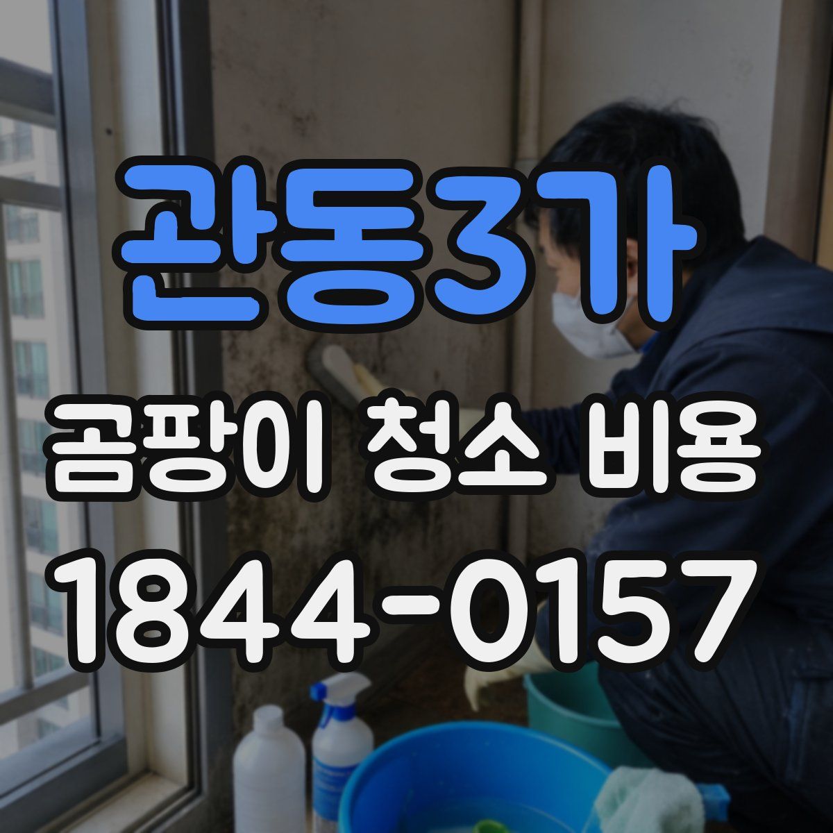 관동3가 곰팡이 청소 비용