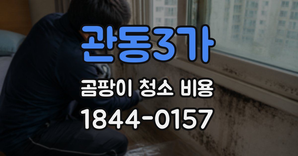 관동3가 곰팡이 청소 비용