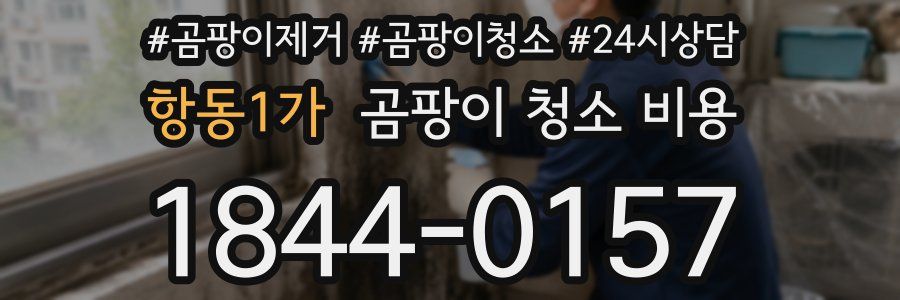 항동1가 곰팡이 청소 비용