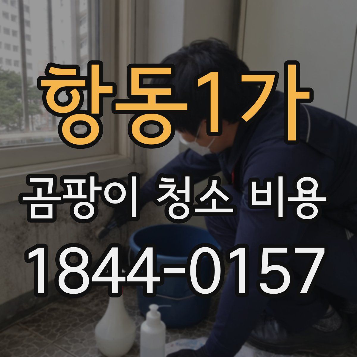 항동1가 곰팡이 청소 비용