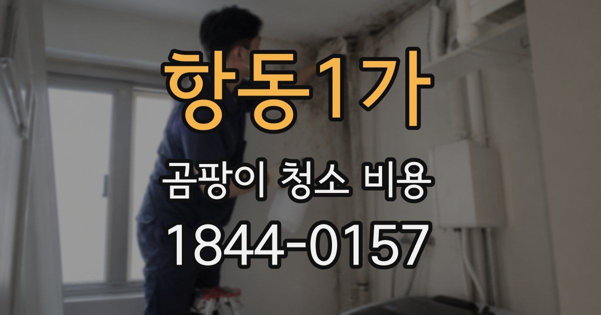 항동1가 곰팡이 청소 비용
