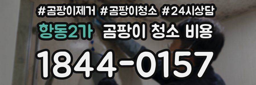 항동2가 곰팡이 청소 비용