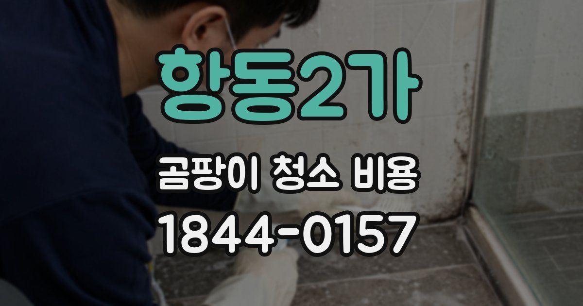 항동2가 곰팡이 청소 비용