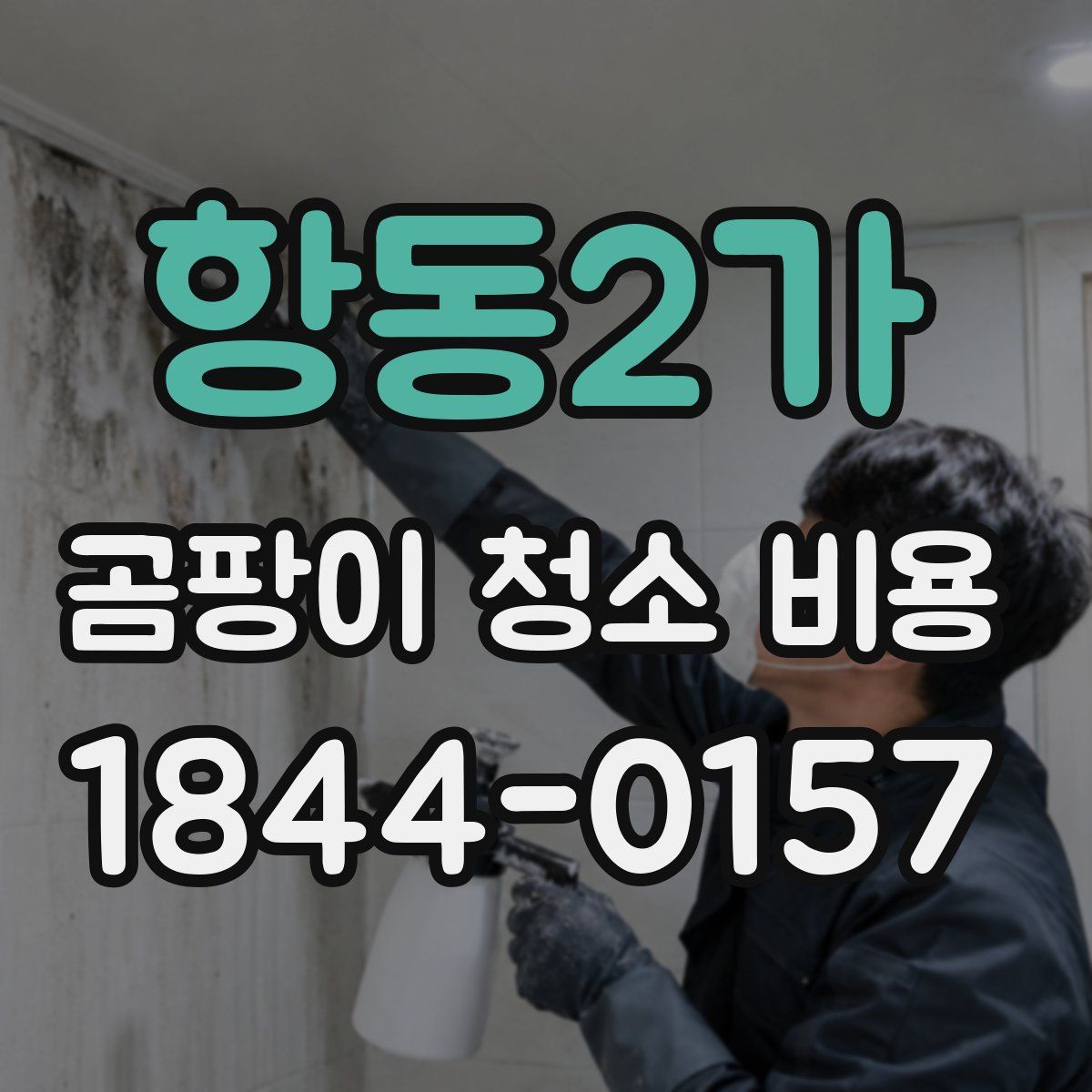 항동2가 곰팡이 청소 비용