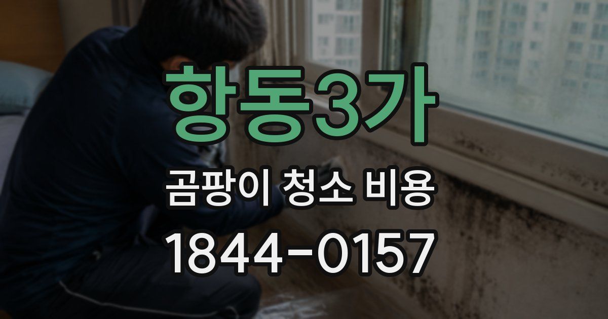 항동3가 곰팡이 청소 비용