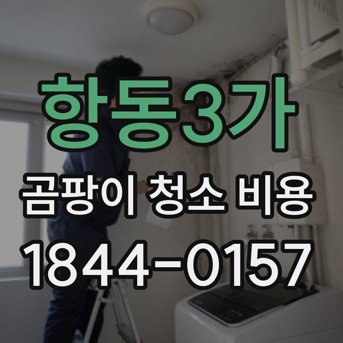 항동3가 곰팡이 청소 비용
