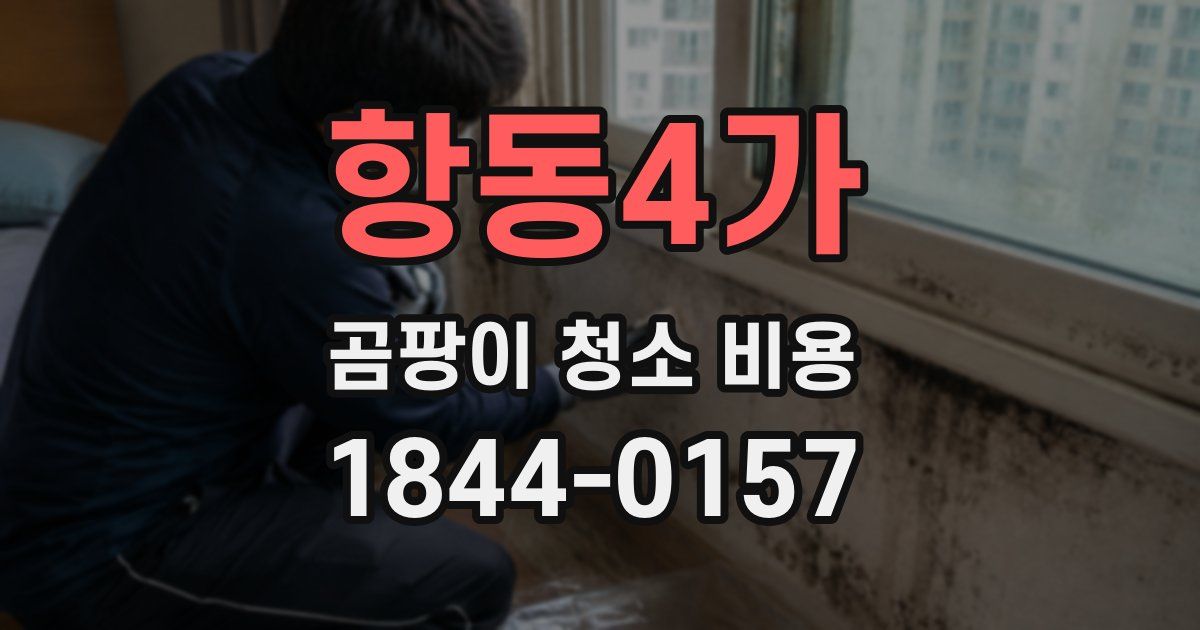항동4가 곰팡이 청소 비용