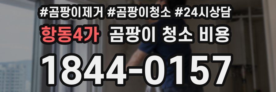 항동4가 곰팡이 청소 비용
