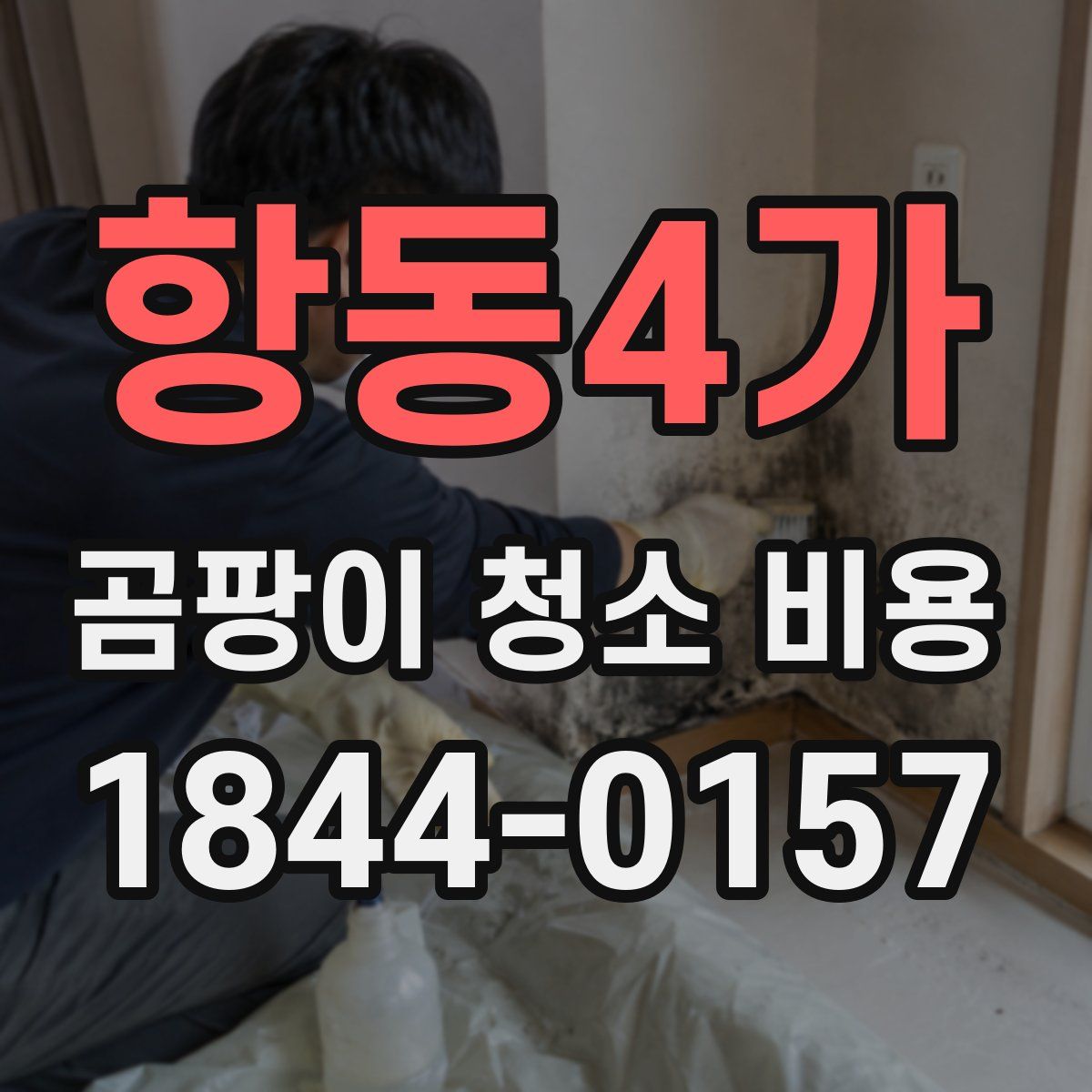 항동4가 곰팡이 청소 비용