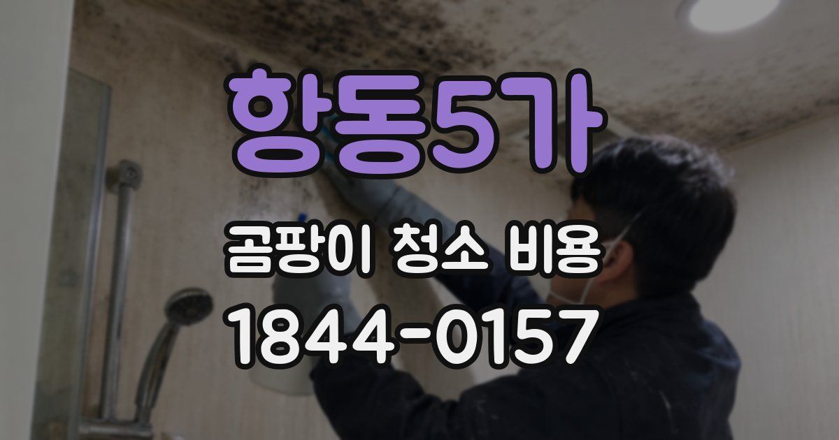 항동5가 곰팡이 청소 비용