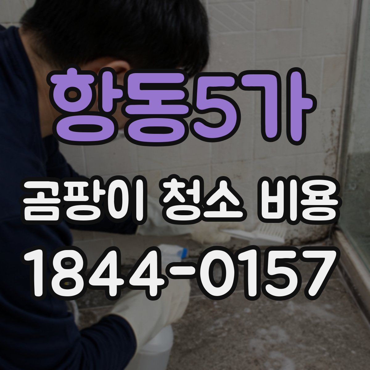 항동5가 곰팡이 청소 비용