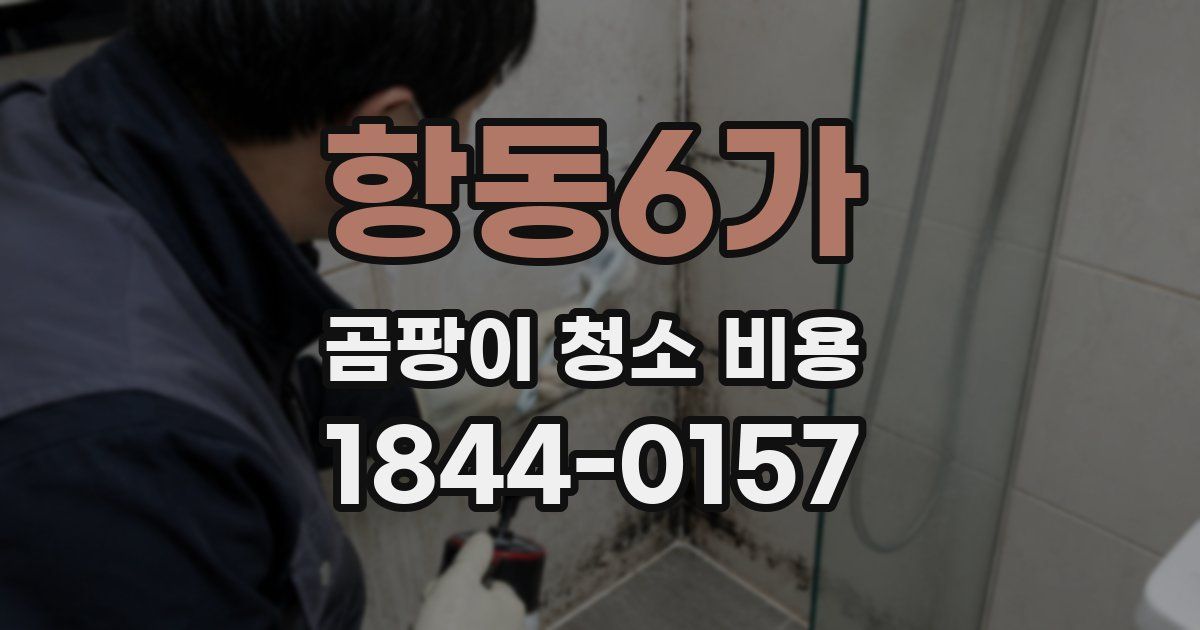 항동6가 곰팡이 청소 비용
