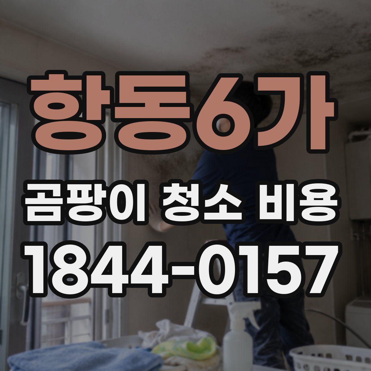 항동6가 곰팡이 청소 비용