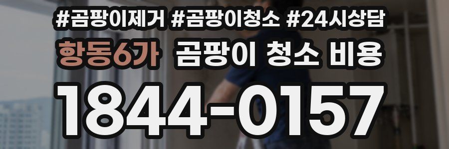 항동6가 곰팡이 청소 비용