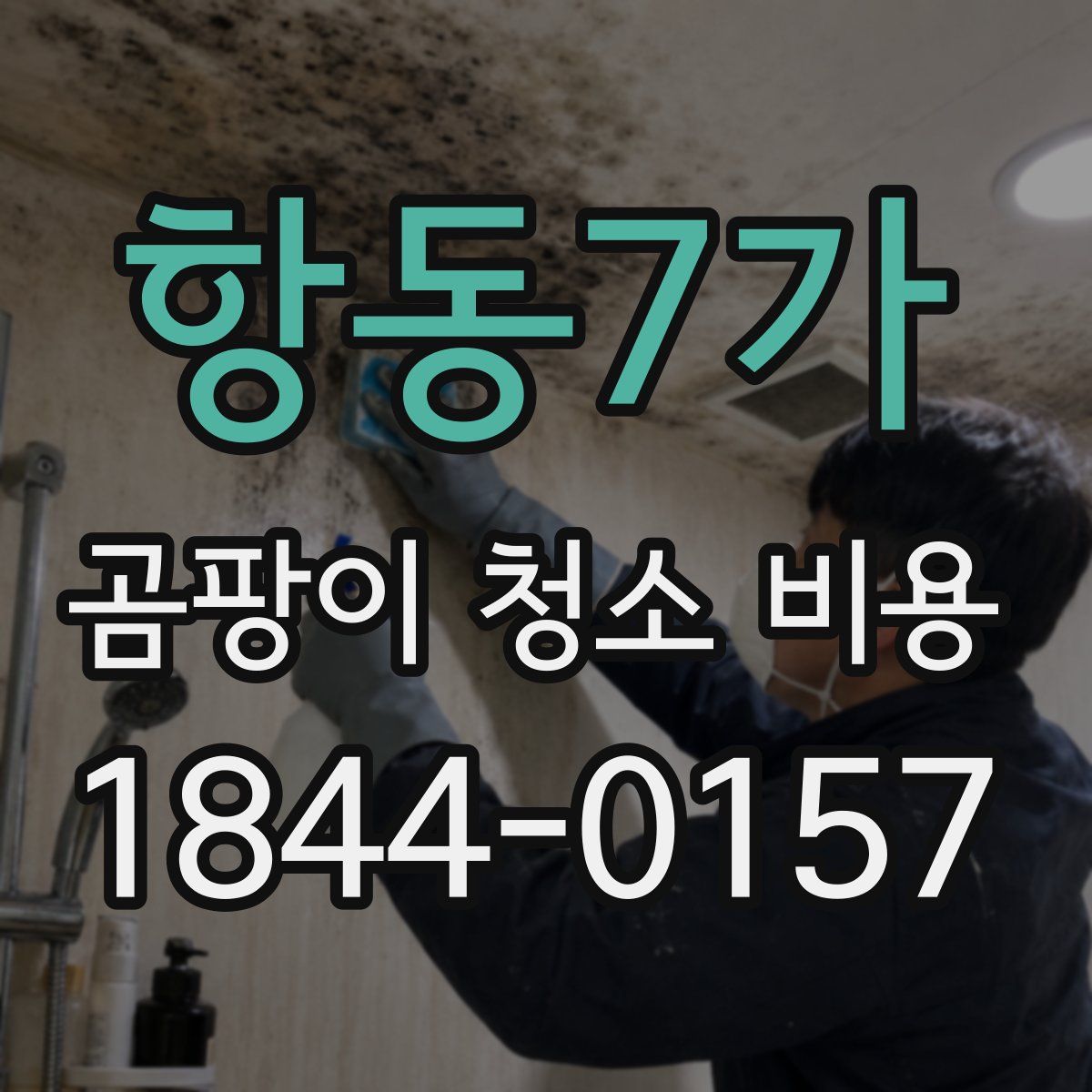 항동7가 곰팡이 청소 비용