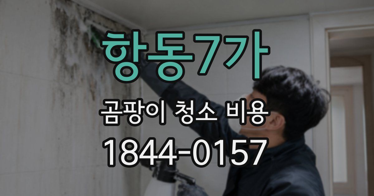 항동7가 곰팡이 청소 비용