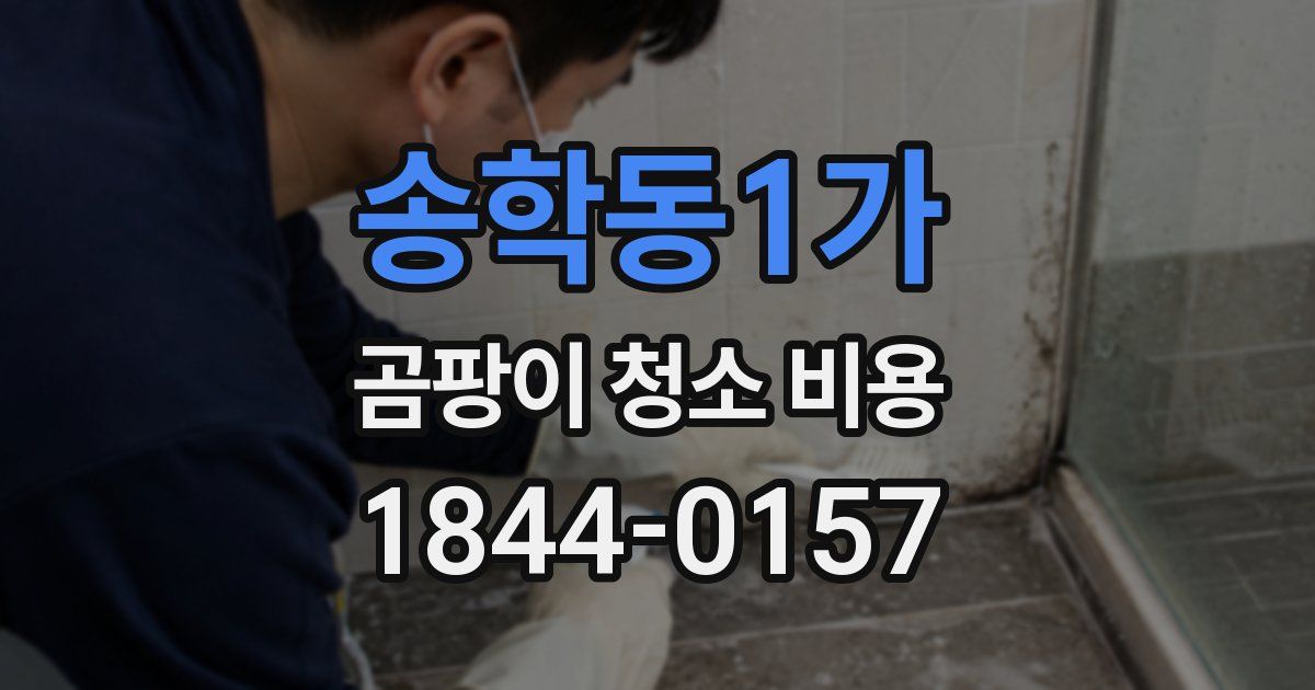 송학동1가 곰팡이 청소 비용