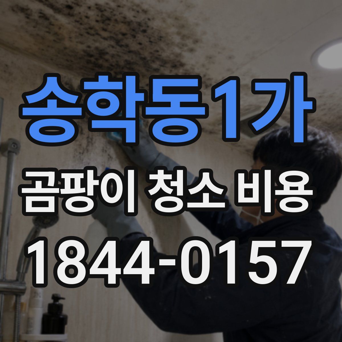 송학동1가 곰팡이 청소 비용