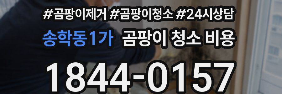 송학동1가 곰팡이 청소 비용