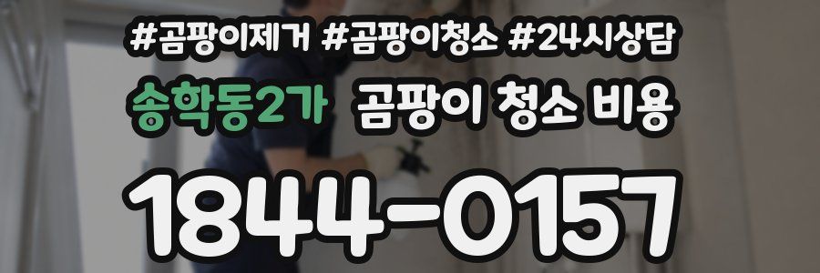 송학동2가 곰팡이 청소 비용