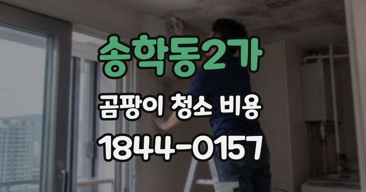 송학동2가 곰팡이 청소 비용