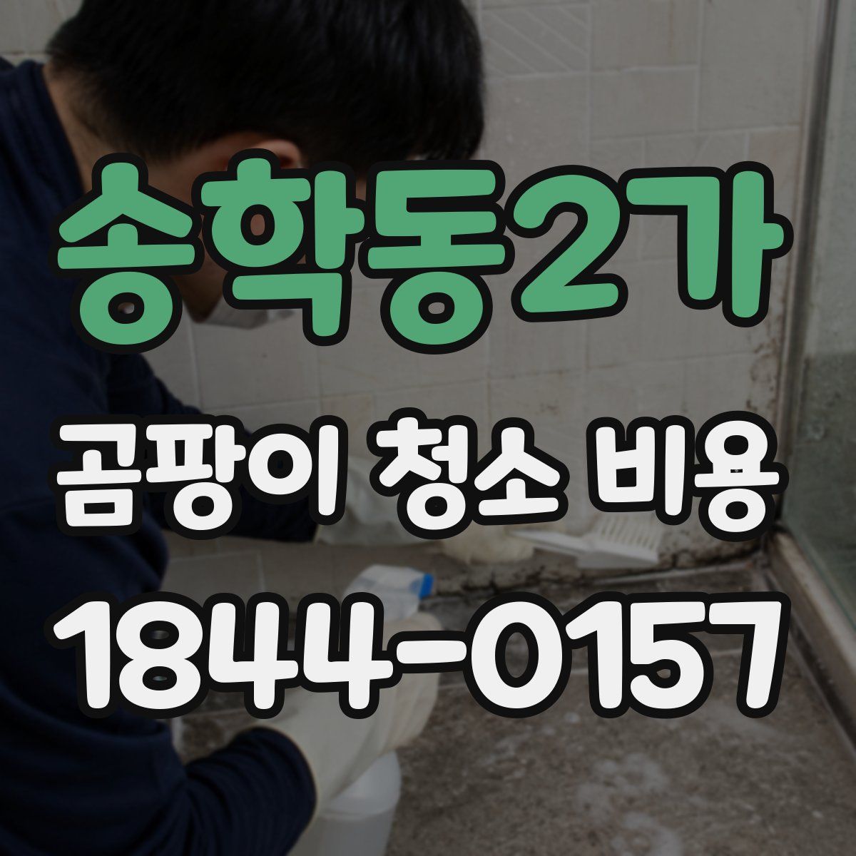 송학동2가 곰팡이 청소 비용