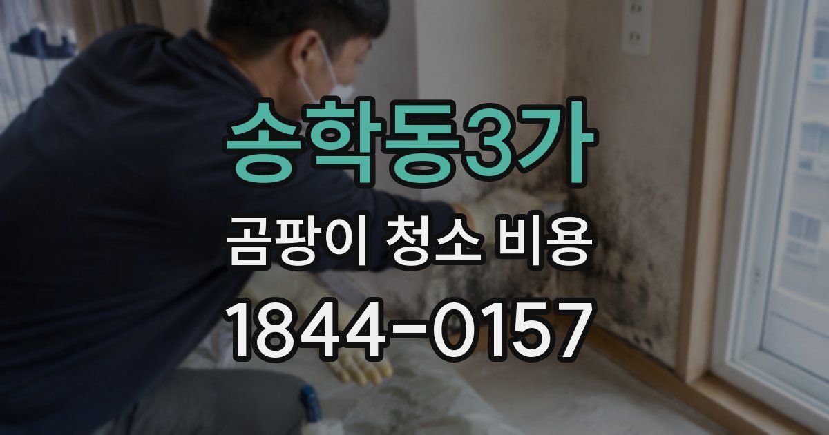 송학동3가 곰팡이 청소 비용