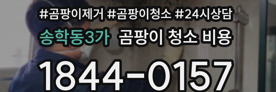 송학동3가 곰팡이 청소 비용