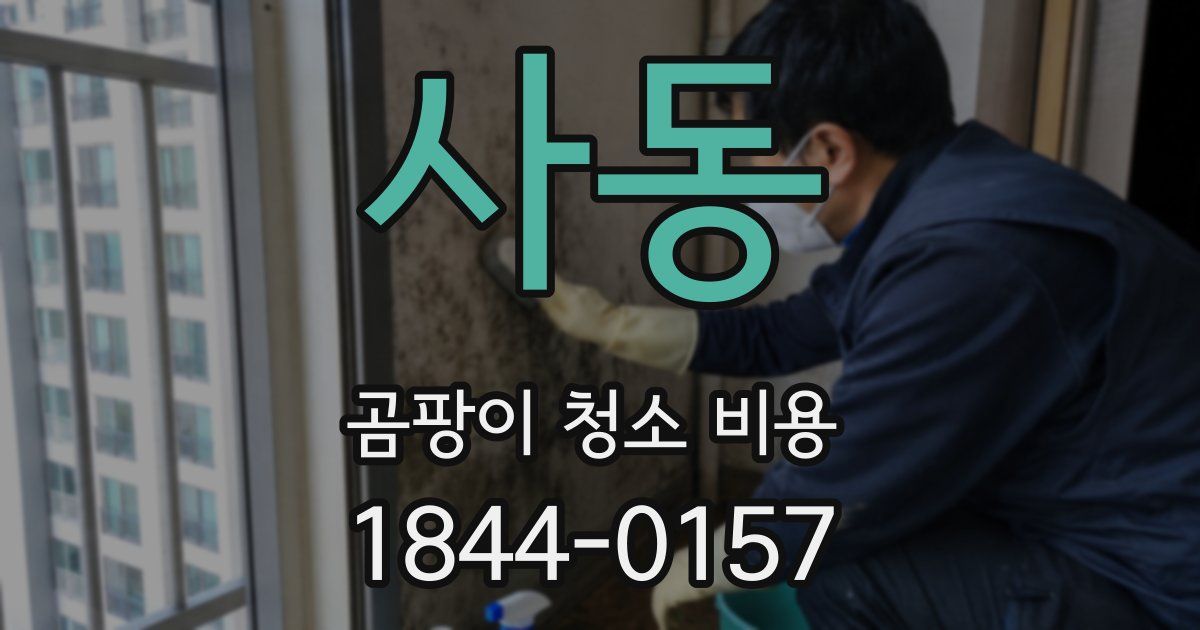 사동 곰팡이 청소 비용