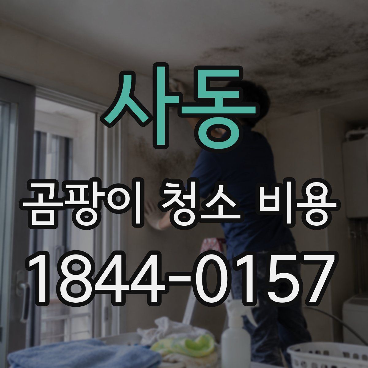 사동 곰팡이 청소 비용