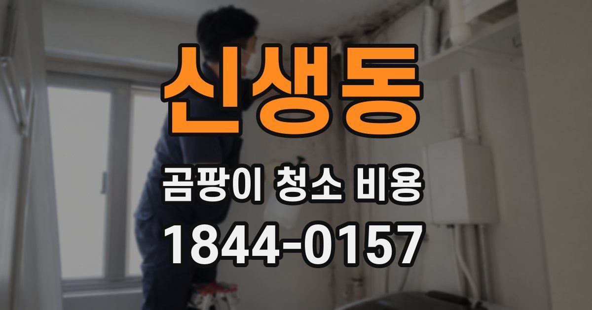 신생동 곰팡이 청소 비용