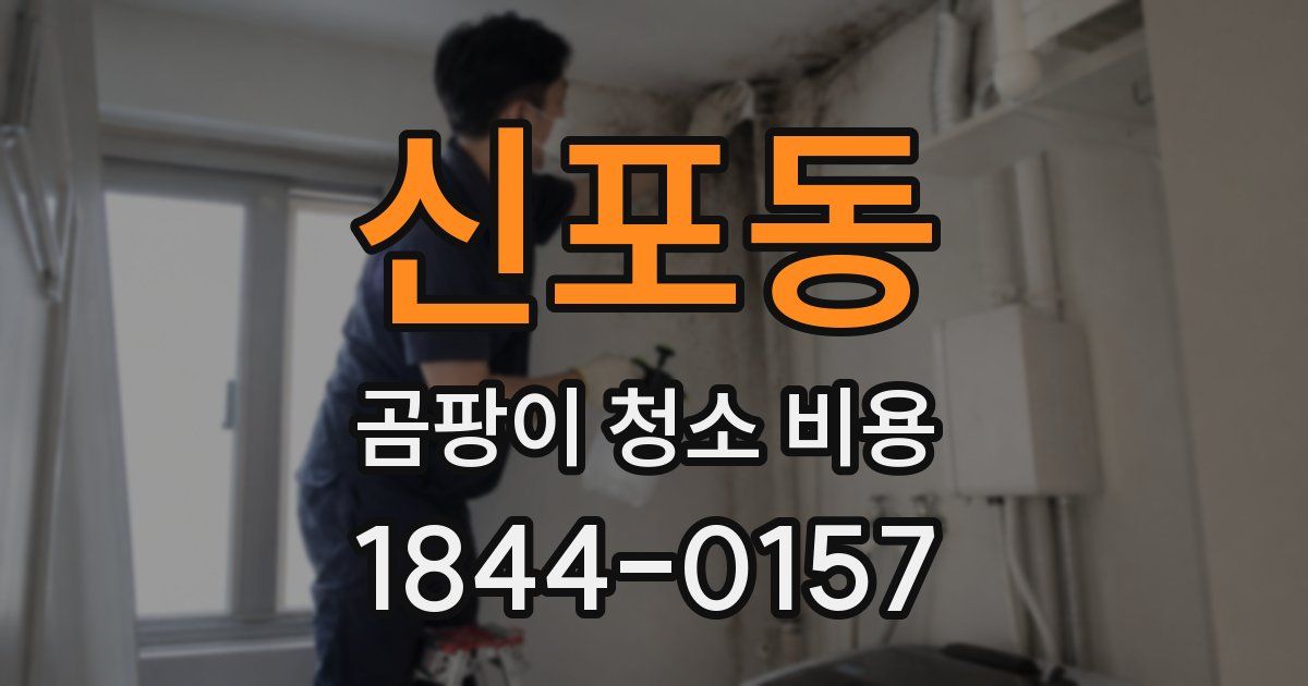 신포동 곰팡이 청소 비용